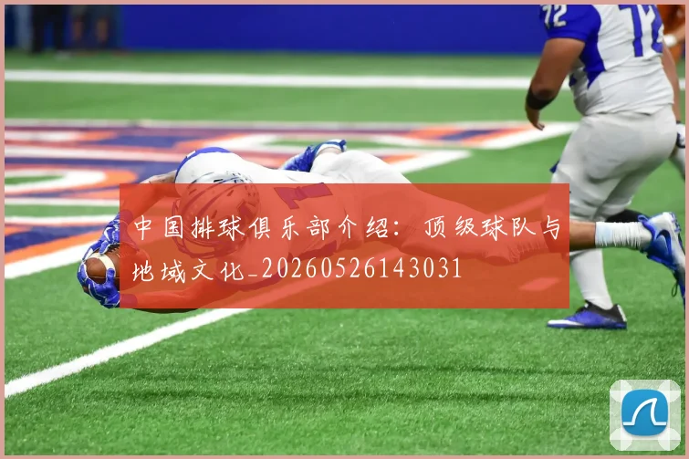 中国排球俱乐部介绍：顶级球队与地域文化_20260526143031